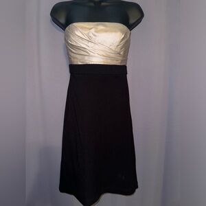 Tube dress size 02 BCBG Maxazria